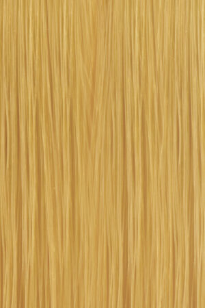 COLOR.ME GLOSS 10.4 PLATINUM COPPER